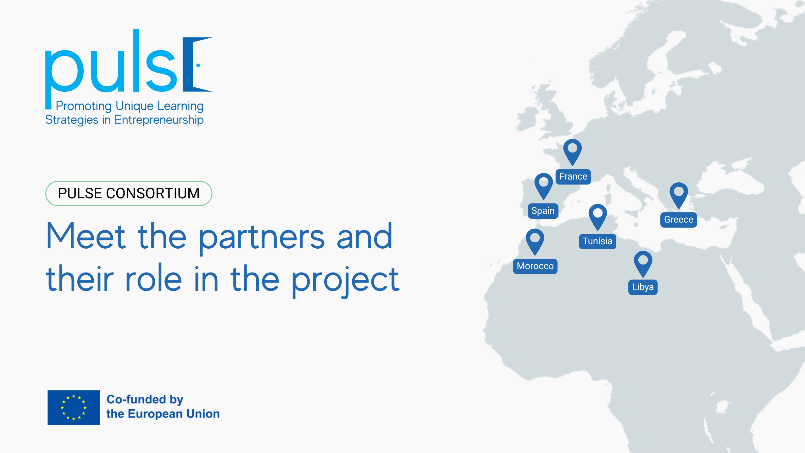 Meet the Partners of PULSE